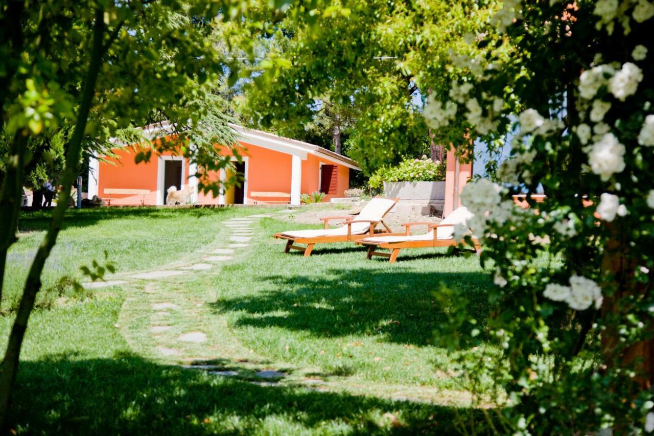 Bellafiora Affittacamere Osimo Zewnętrze zdjęcie